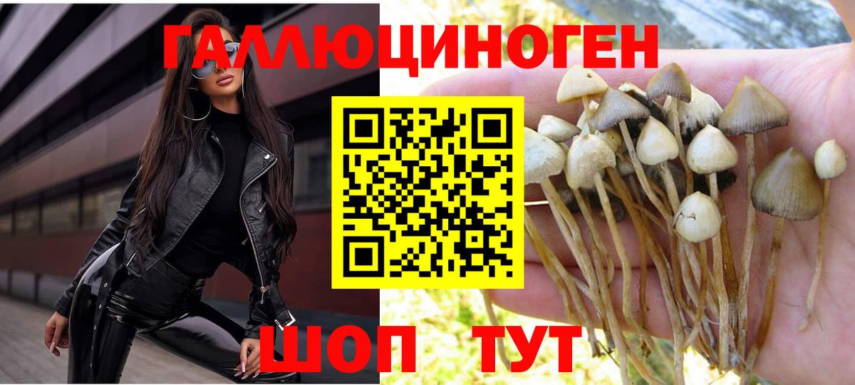 Галлюциногенные грибы мицелий Россия