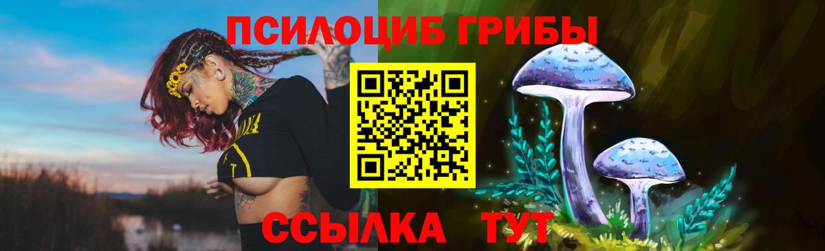 наркотики  Галлюциногенные грибы Cubensis  Вход с VPN  Россия 