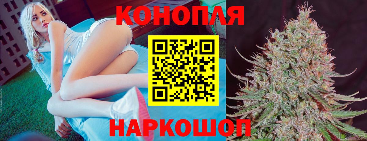 Конопля SATIVA & INDICA Россия