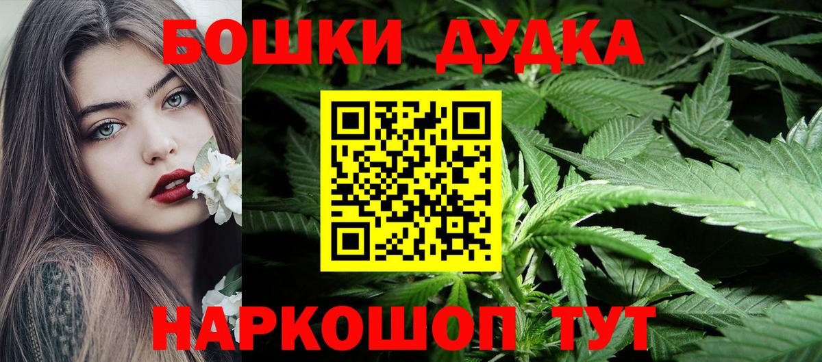 Каннабис SATIVA & INDICA  Россия  Каннабис гибрид  Каннабис индика 